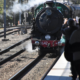 The 3642 arrives at Penrth