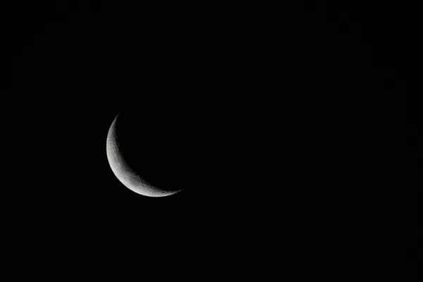 Settings: f6.3 1/50 iso100 600mm