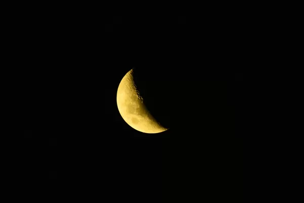 Settings: f6.3 1/50 iso100 600mm