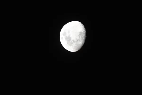 Settings: f6.3 1/50 iso125 600mm