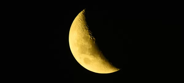 Settings: f6.3 1/50 iso100 600mm enlarged